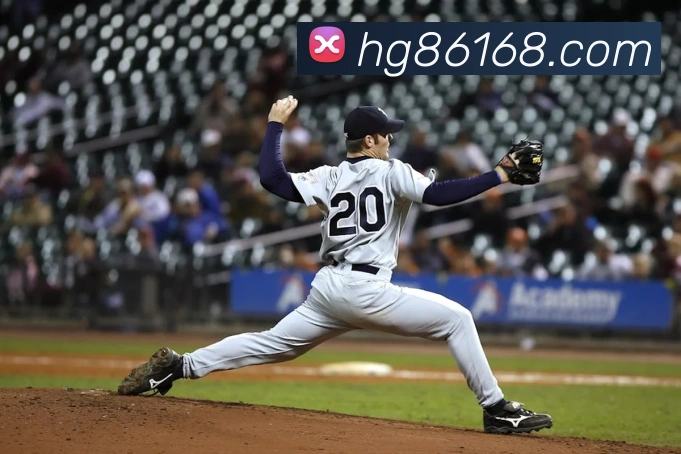 平台使命图